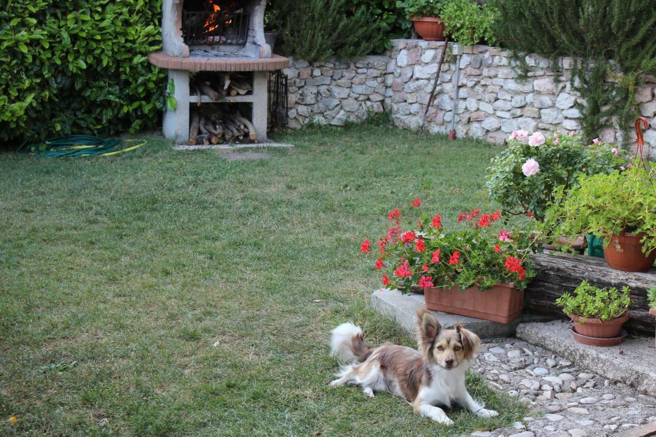 Agriturismo Roccagelli Vallo di Nera Екстер'єр фото
