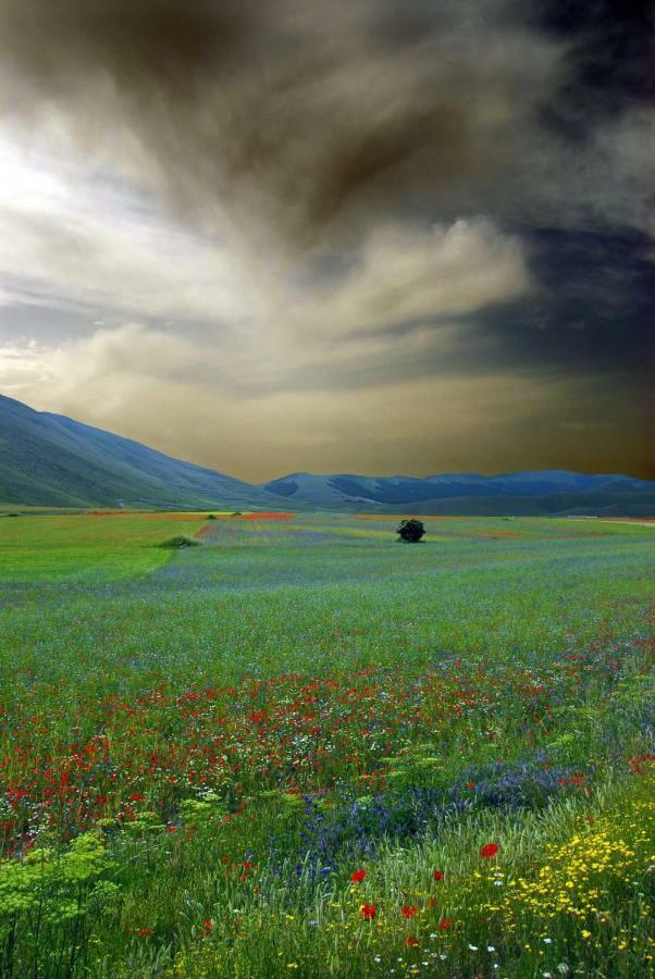 Agriturismo Roccagelli Vallo di Nera Екстер'єр фото